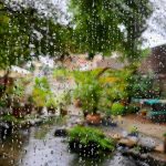 window-6197183_1280