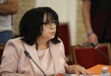 Теменужка Петкова: МВнР не може да бъде канал за реклама на която и да е политическа партия