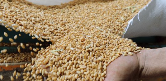 Хиляди фермери на протест в Латвия срещу вноса на руско зърно и храни