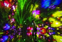 В Токио отваря врати нов музей на имерсивно дигитално изкуство