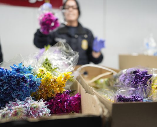 Любов (и 460 милиона цветя) са във въздуха за Свети Валентин със задължителна спирка в Маями