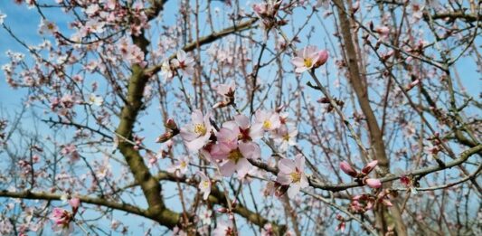 Пролетта настъпва утре