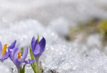 Дъжд и сняг ни очакват днес дъжд