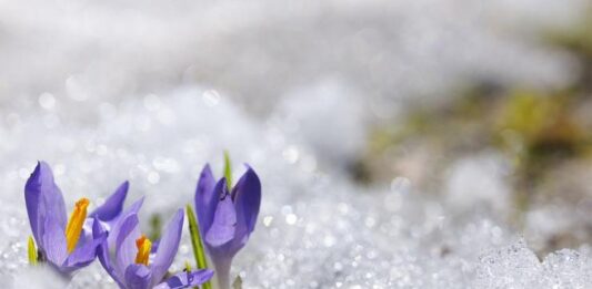 Дъжд и сняг ни очакват днес дъжд