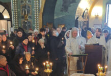 Ковчегът на Навални пристигна в Борисовското гробище в Москва