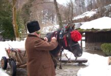 Тодоровден е – какви са традициите и обичаите