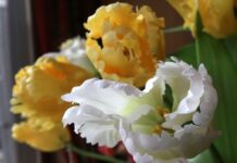 Жените получават с 12,6% по-ниски заплати у нас, политиката – все още мъжка професия