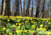 Топло с температури до 30°