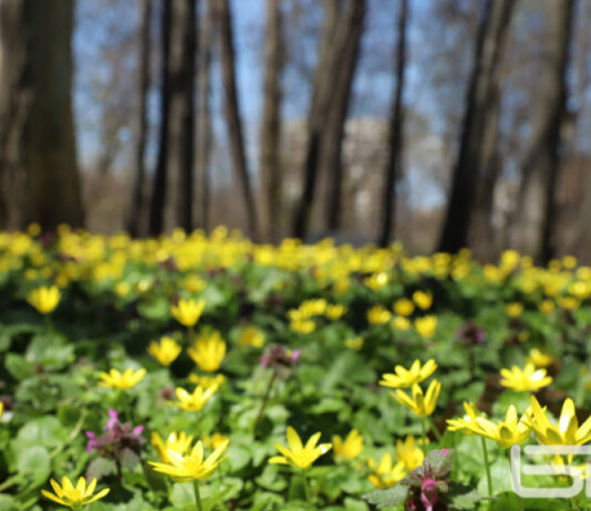 Топло с температури до 30°