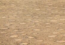 Необясним феномен: Тайнствените кръгове от Намибия