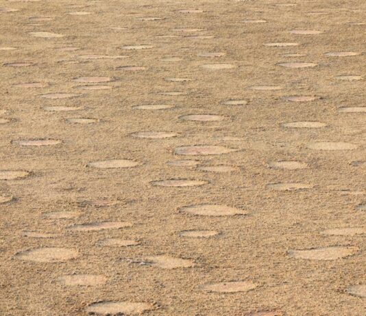 Необясним феномен: Тайнствените кръгове от Намибия