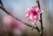 Какво време ни очаква през уикенда