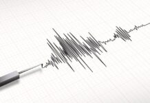 Трус от 2.2 в района на Панагюрище