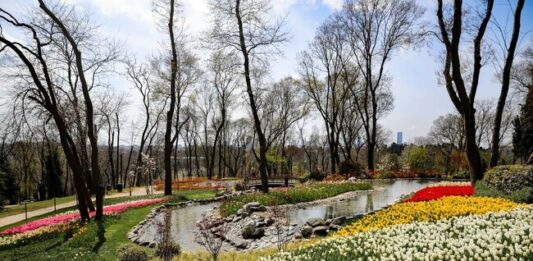 Над 8 милиона лалета и пролетни цветя разцъфтяха в Истанбул за тазгодишния празник на лалетата