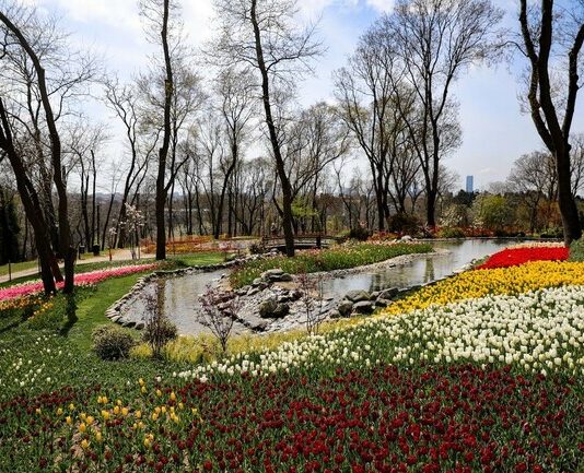 Над 8 милиона лалета и пролетни цветя разцъфтяха в Истанбул за тазгодишния празник на лалетата