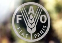 ООН: Храните в световен мащаб поскъпват през април за втори пореден месец