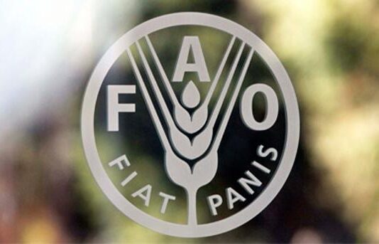 ООН: Храните в световен мащаб поскъпват през април за втори пореден месец