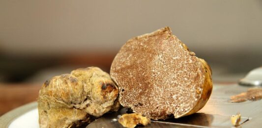 Кои са най-скъпите храни в света