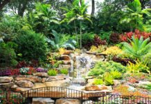 Най-голямата ботаническа градина се строи в пустинята