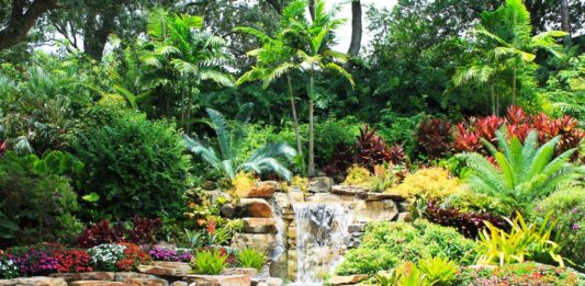 Най-голямата ботаническа градина се строи в пустинята