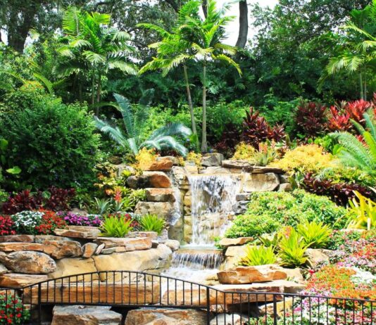 Най-голямата ботаническа градина се строи в пустинята