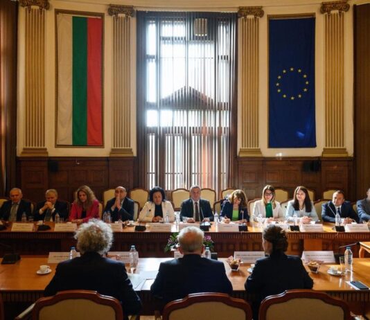 Десислава Танева: Цялата европейска земеделска общност, включително в България, се смята за сериозно засегната от всички последствия след приемането на Зелената сделка и войната в Украйна