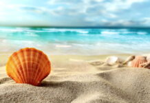 Жегите продължават: Жълт код за високи температури в цялата страна