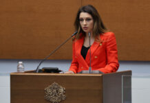 Павела Митова: Експертен кабинет би могъл да изкара и пълен мандат