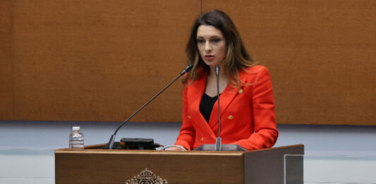 Павела Митова: Експертен кабинет би могъл да изкара и пълен мандат