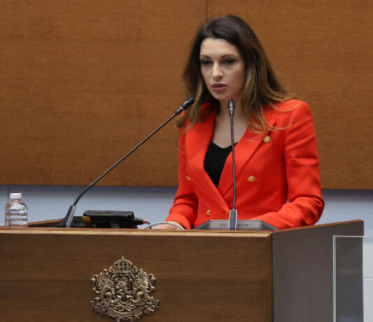 Павела Митова: Експертен кабинет би могъл да изкара и пълен мандат