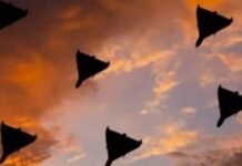 За втори път в Одеса и областта беше обявена тревога преди полунощ