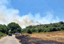 Пламна гората до язовир „40 извора“