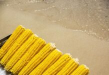 Царевицата – златното зърно с множество полезни свойства