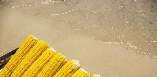 Царевицата – златното зърно с множество полезни свойства