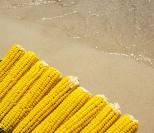 Царевицата – златното зърно с множество полезни свойства