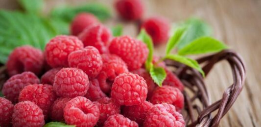 Консумацията на малини може да понижи риска от рак и артрит