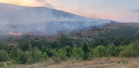 Пожарите в Северна Македония обхванаха и 12 села в източната част на страната, мъж е починал от вдишания дим
