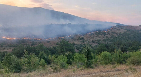 Пожарите в Северна Македония обхванаха и 12 села в източната част на страната, мъж е починал от вдишания дим