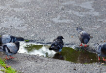 Оранжев и жълт код за валежи, температурите до 28 градуса в сряда