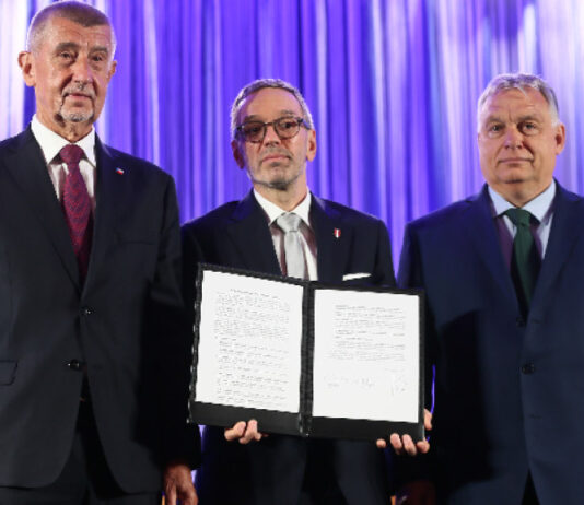 „Патриоти за Европа“ ще има евродепутати от нужните за политическа група 7 държави