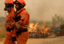 Пожарът в Гърция продължава да настъпва към България