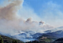 Между 10 и 12 000 дка горят в Малешевска планина и в планината Славянка