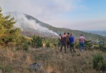 България е на второ място по горски пожари в Европа за 2024 година