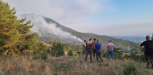 България е на второ място по горски пожари в Европа за 2024 година