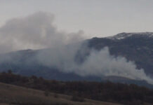 Пожар на Витоша