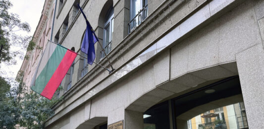 Съдия Цариградска пред ВСС: Съдиите сме поставени в безсилна ситуация