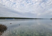 Мащабно учение за спасяване на пострадали при авиационно произшествие предстои по поречието на Дунав в Русенско