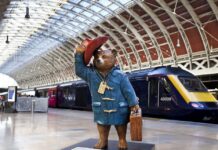 Мечето Падингтън получи британски паспорт