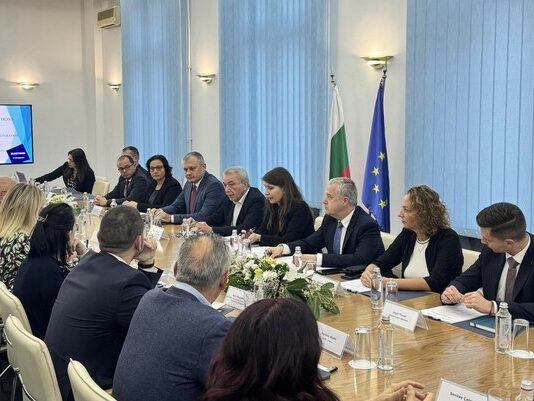 Карадимов пред ПАСЕ: Служебният кабинет предприе безпрецедентни мерки за прозрачността и сигурността на вота