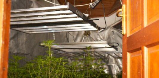 При акция на полицията е разбита наркооранжерия в София